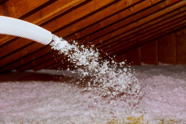 Types of Insulation We Offer in Globe, AZ