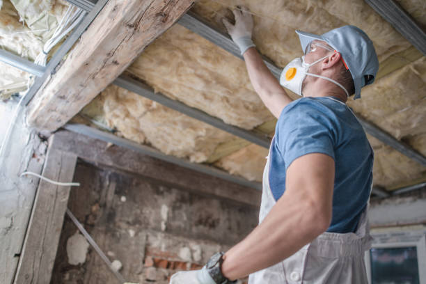 Best Cellulose Insulation in Globe, AZ