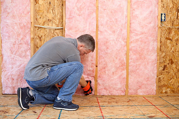 Best Residential Insulation in Globe, AZ