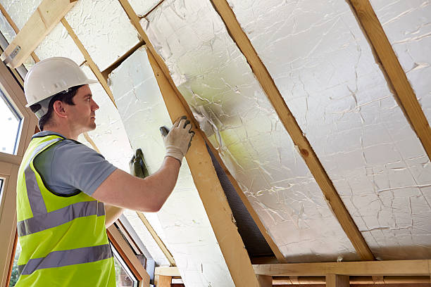 Best Specialized Insulation Services in Globe, AZ